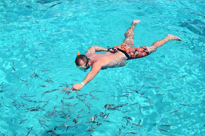 Blue Lagoon, Beaches and Bays Catamaran Sailing Tour - Choosing a Good Place on the Sea Breeze