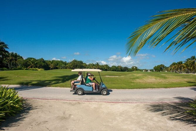 Blue Lagoon Tour with Catamaran Cruise and Snorkeling - Swimming with turtles at Indigenous Eyes Cenote