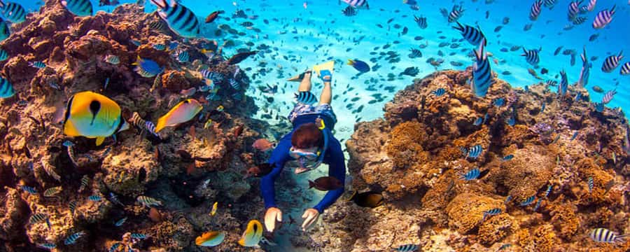 Bora Bora: Half Day Catamaran Sailing & Snorkelling - Key points at a glance