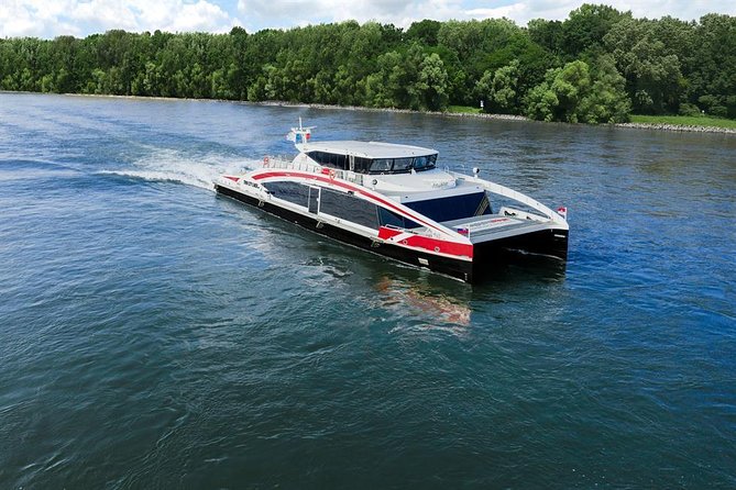 Bratislava Day Trip from Vienna With Catamaran Cruise on Danube - What to know before booking