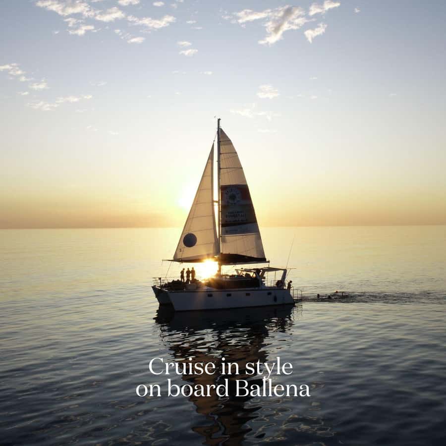 Broome's Iconic Catamaran Sunset Cruise - Is $109 good value for three and a half hours?