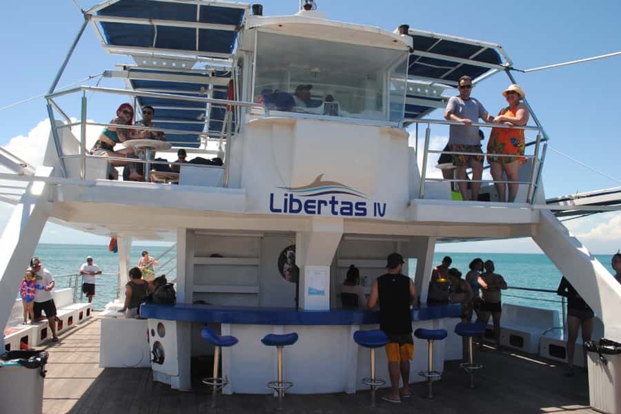 Búzios: Catamaran Boat Tour - Pickup, timing, and communication