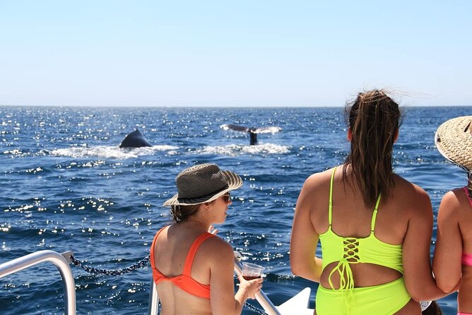 Cabo Catamaran – Snorkeling Tour & Coastal Views - The Crew, Guide, and Onboard Mood