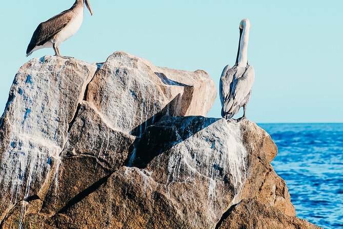 Cabo Private Catamaran: Chill Experience with Sup and Float Mat - Should You Book the Cabo Private Catamaran?