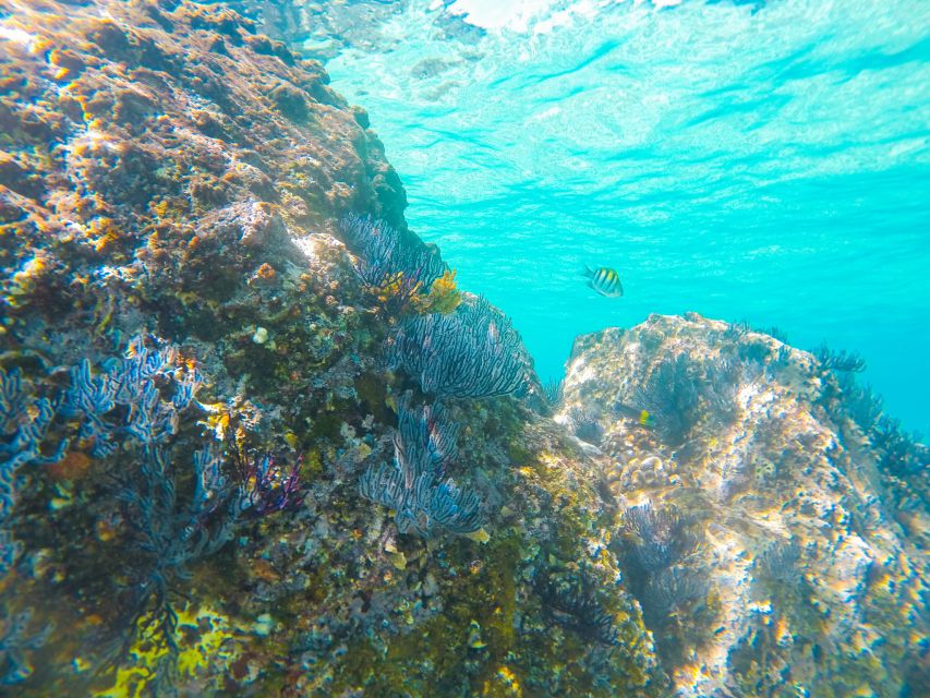 Cabo San Lucas: Private Catamaran Tour with Snorkeling - Food, drinks, and the famous guacamole