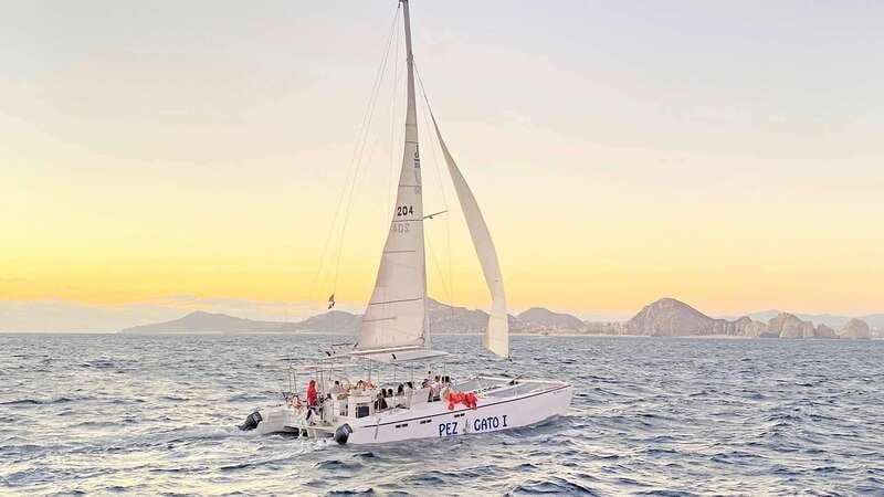 Cabo San Lucas: Whale Watching Experience on Catamaran - What to wear and bring