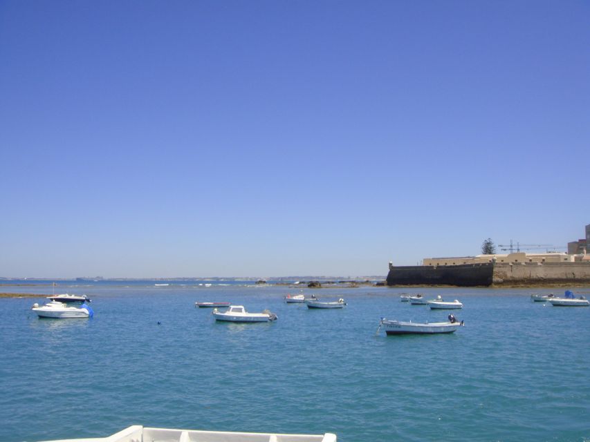 Cádiz: Bay of Cádiz Catamaran Tour with Host - What the audio commentary adds