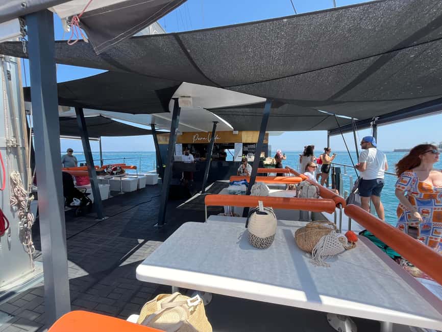 Cádiz: Bay of Cadiz Catamaran Tour with Swim Stop (Jun-Sep) - Choosing Between La Caleta and La Puntilla