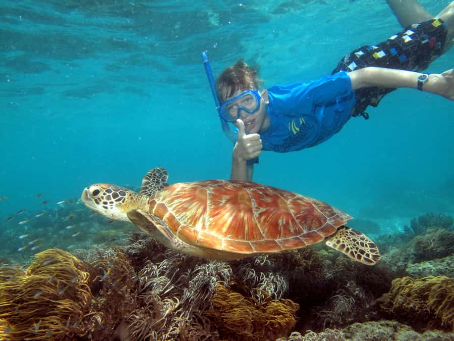 Cairns: Ocean Spirit Great Barrier Reef Full Day Tour - Setting out from Cairns on a 32-meter catamaran