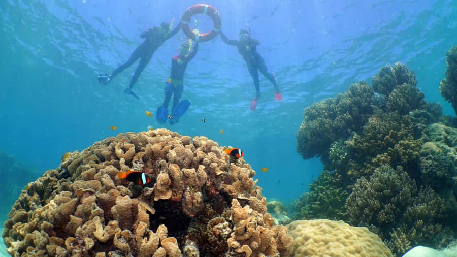 Cairns: Ocean Spirit Great Barrier Reef Full Day Tour - Who will enjoy this day most