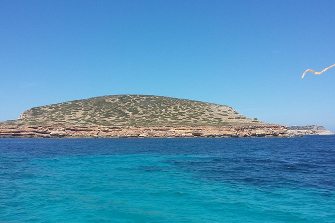 Cala Comte Private Catamaran Tour - What the captain adds to the day
