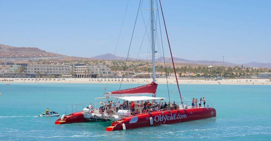 Caleta de Fuste: Catamaran Sailing Experience - Sailing from Caleta de Fuste Marina