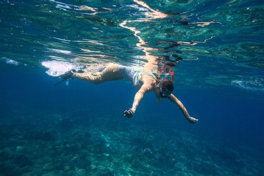 Caleta de Fuste: Catamaran Sailing Experience - The Pozo Negro stop, swimming, and snorkeling