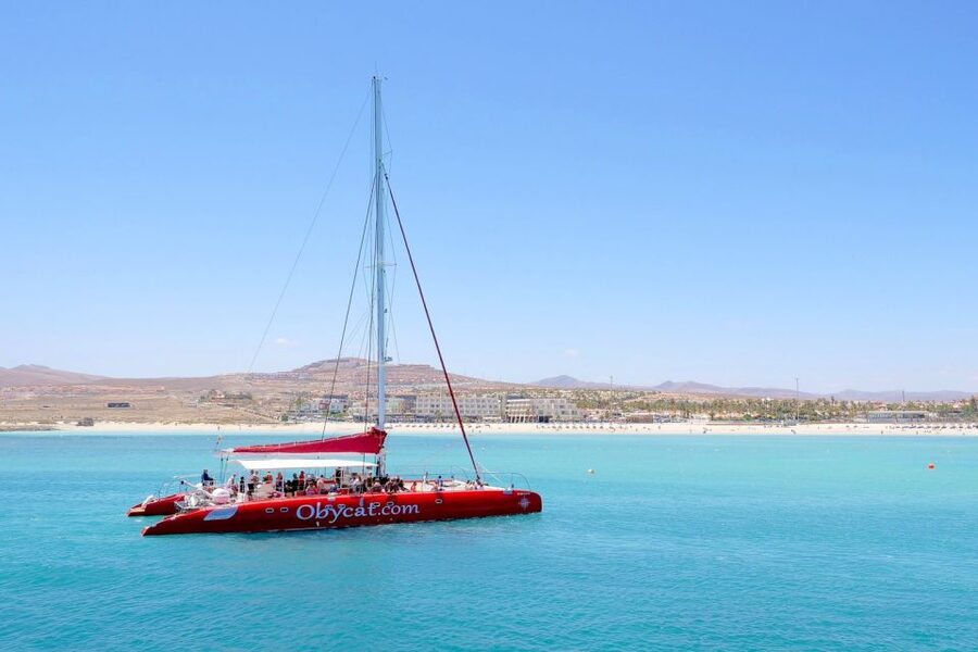 Caleta de Fuste: Catamaran Sailing Experience - Paella, potatoes, salad, and fresh fruit