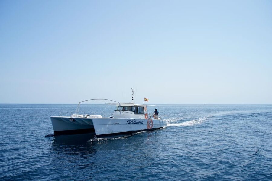 Calpe: Catamaran Tour with Optional Swim Stop - Seeing Calpe from the sea