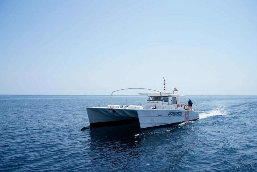 Calpe: Motor catamaran with a swim stop and optional lunch - Key Points Before You Book