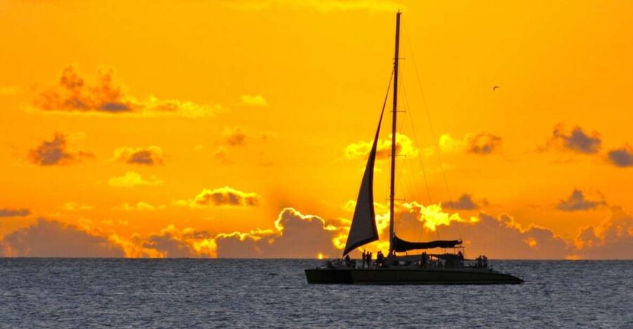 Cambrils: Costa Dorada Sunset Catamaran Cruise with Drinks - The Swimming Stop at a Quiet Inlet