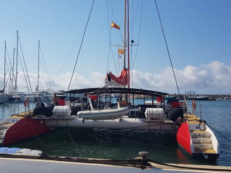 Cambrils/Salou: Coastline Catamaran 2h with drinks, pickup - Key points to know before booking
