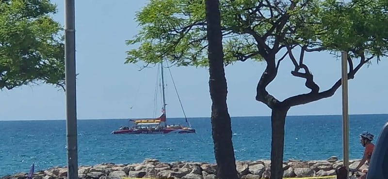 Cambrils/Salou: Coastline Catamaran 2h with drinks, pickup - Hotel pickup from Salou, Cambrils, and Pineda