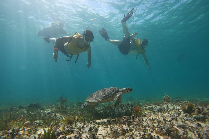 Cancun : All Inclusive Catamaran Tour to Isla Mujeres - Meeting the catamaran at Playa Tortugas