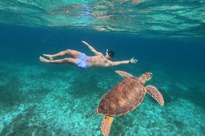 Cancun Catamaran: Sail to Isla Mujeres + Buffet & Drinks - Snorkeling with gear provided