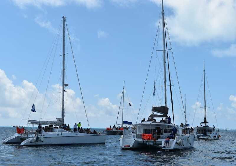 Cancun: Isla Mujeres Only Adults Catamaran, drinks & snorkel - Booking details worth checking