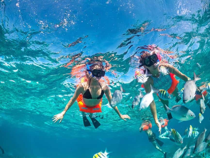 Cancun: Premium Catamaran with Transportation & Dock fee - Two hours to explore Isla Mujeres