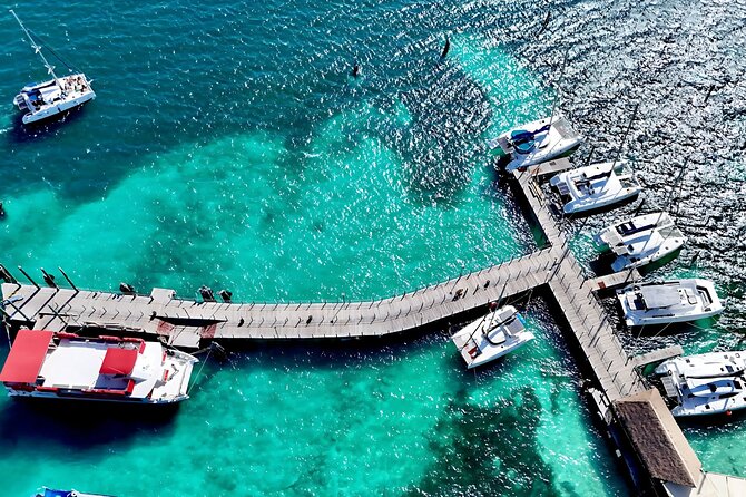 Cancun Private Catamaran Cruise– Open Bar & Snorkeling Experience - Playa Tortugas: the practical launch point