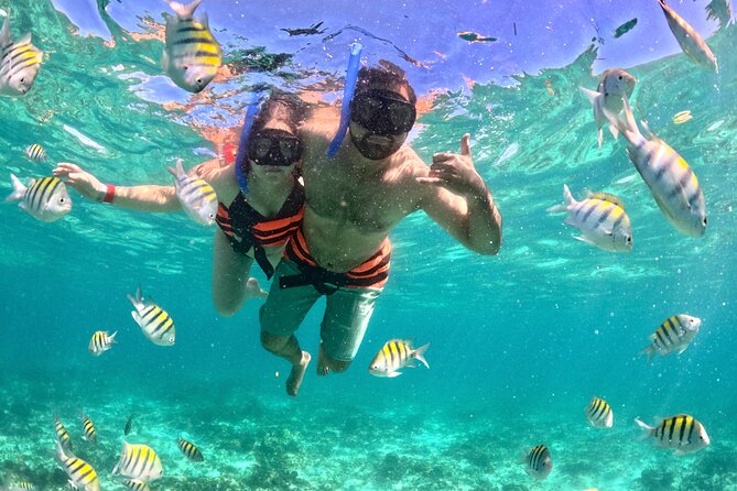 Cancun Private Catamaran Cruise– Open Bar & Snorkeling Experience - Snorkeling over the reef