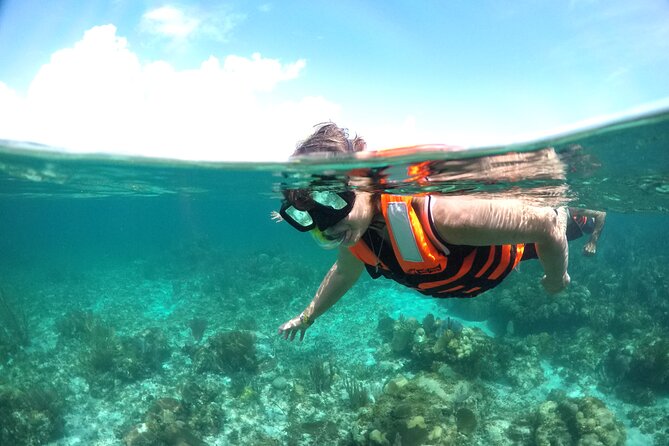 Cancun to isla mujeres catamaran sailing - Who should book this Isla Mujeres trip?