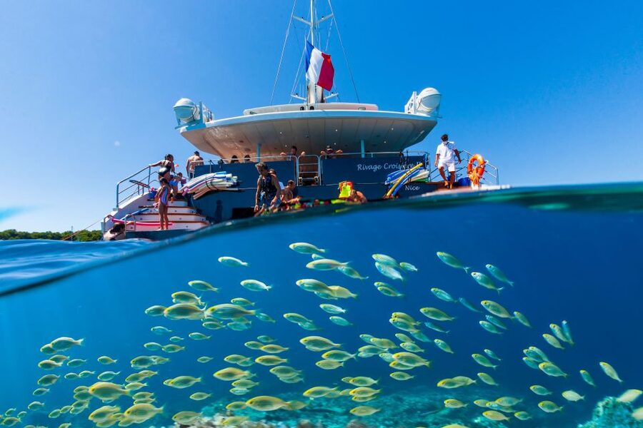 Cannes: Half-Day Catamaran Cruise - Key points to know before you go
