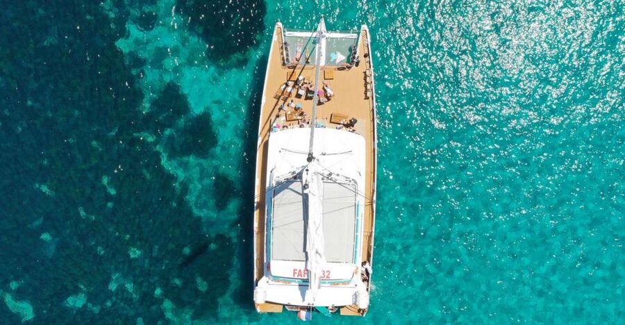 Cannes: Half-Day Catamaran Cruise - The Lérins Islands or the Esterel coast