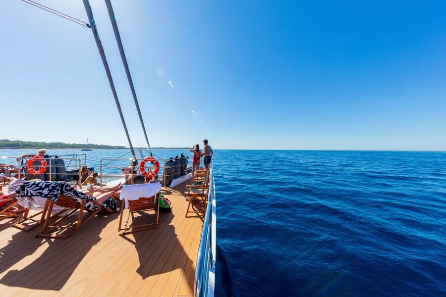 Cannes: Half-Day Catamaran Cruise with Lunch - From Cannes’ old port to the Lérins Islands