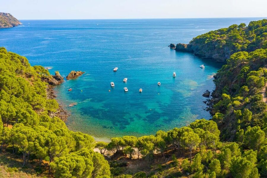 Cap Norfeu: Costa Brava Catamaran Trip with Underwater Views - Why this Costa Brava boat trip works