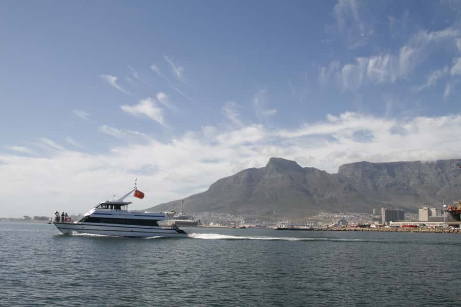 Cape Town: Scenic 1-Hour Coastal Catamaran Cruise - Is $25 Good Value for One Hour?