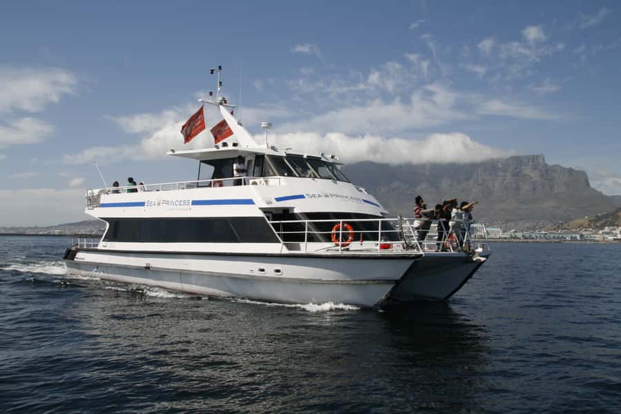 Cape Town: Scenic 1-Hour Coastal Catamaran Cruise - Leaving the Harbor With Table Mountain Behind You