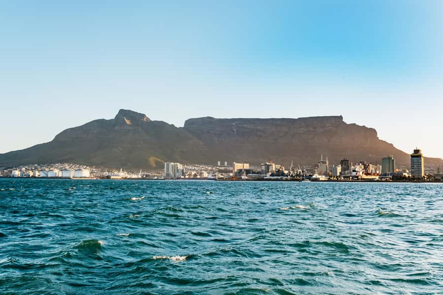 Cape Town: Sunset Catamaran Cruise on Table Bay with Bubbles - Wildlife: exciting when nature cooperates
