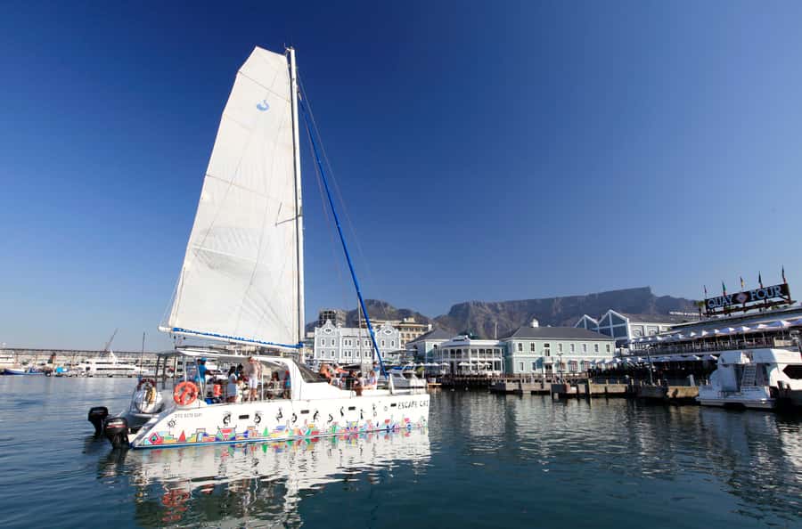Cape Town: Table Bay Cruise by Catamaran - A short sail with a big Cape Town view