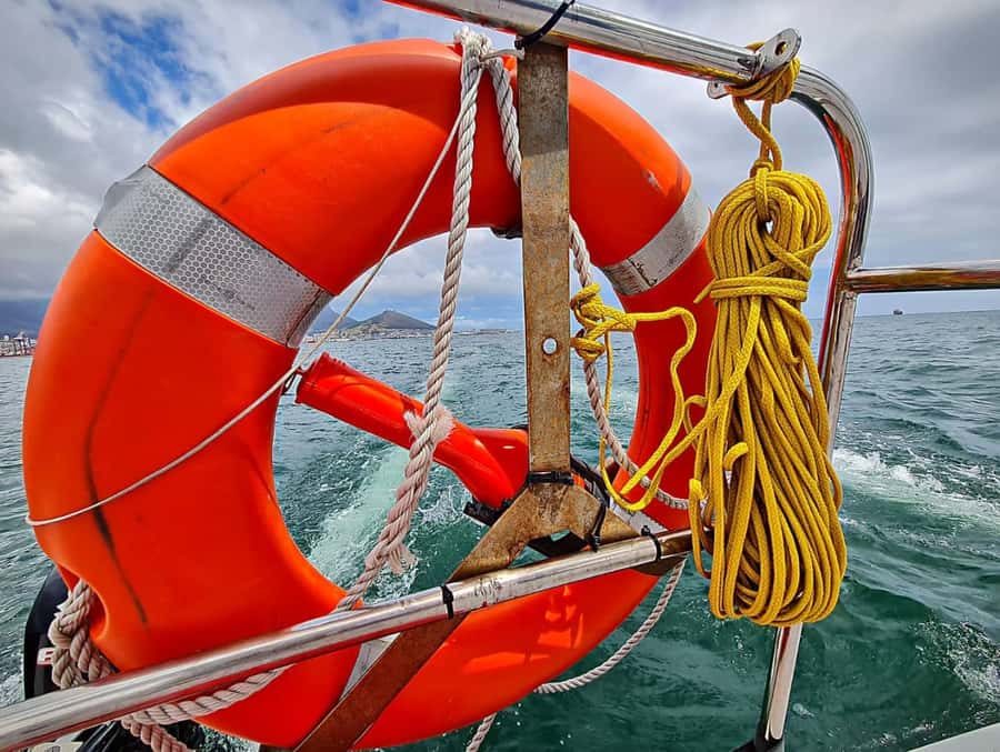 Cape Town: Table Bay Cruise by Catamaran - Meeting the crew at Wild Horizons Waterfront Adventures