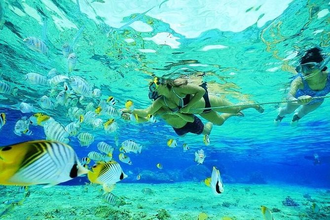 Catamaran Adventure Full Day: Ile aux cerfs,GRSE Waterfall,Snorkeling &BBQ Lunch - Snorkeling in the Trou d’Eau Douce lagoon