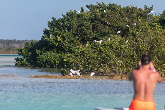 Catamaran Adventure: Sailing and Swimming in the Bacalar Lagoon - What swimming adds to the experience