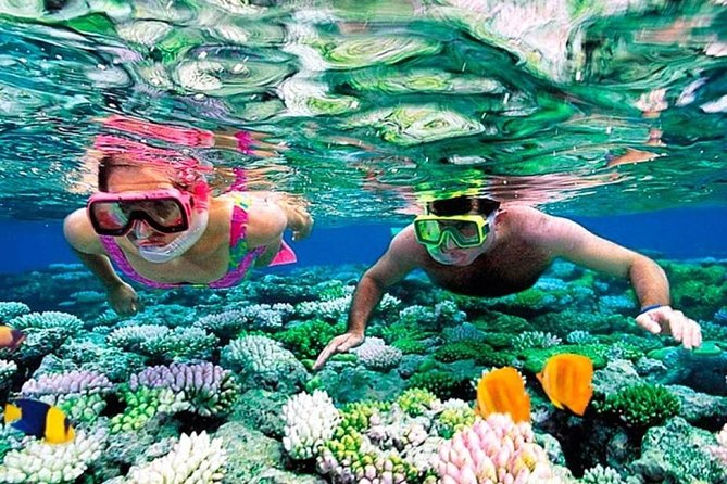 Catamaran adventure to Isla Mujeres with Snorkel,Buffet,Open Bar and Beach Club - Is the $55 price a good deal?