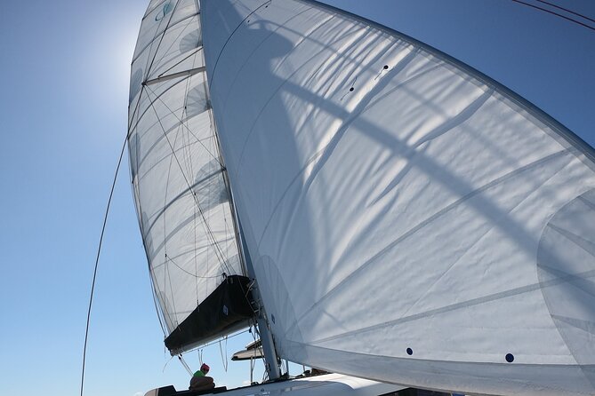 Catamaran Alghero, Catamaran Sailing Day Trip - How the price compares with the experience