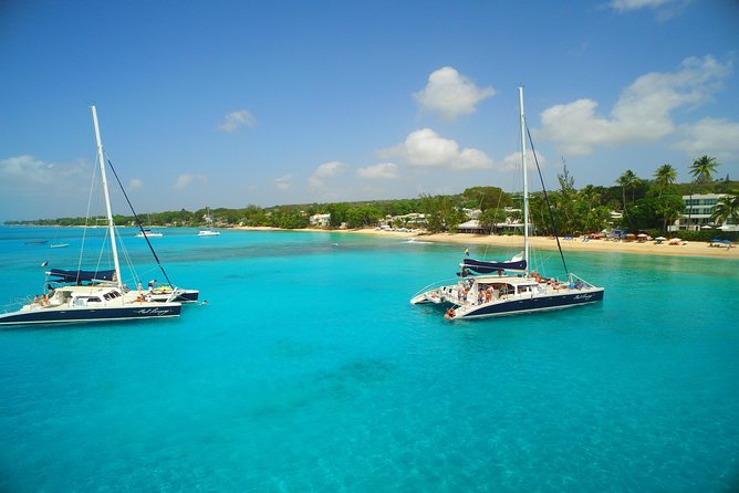 Catamaran and Snorkeling Cruise At Carlisle Bay - Turtle watching, swimming, and time on the sand