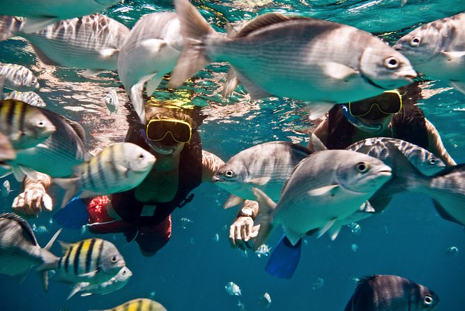 Catamaran and Snorkeling Cruise At Carlisle Bay - The crew sets the tone
