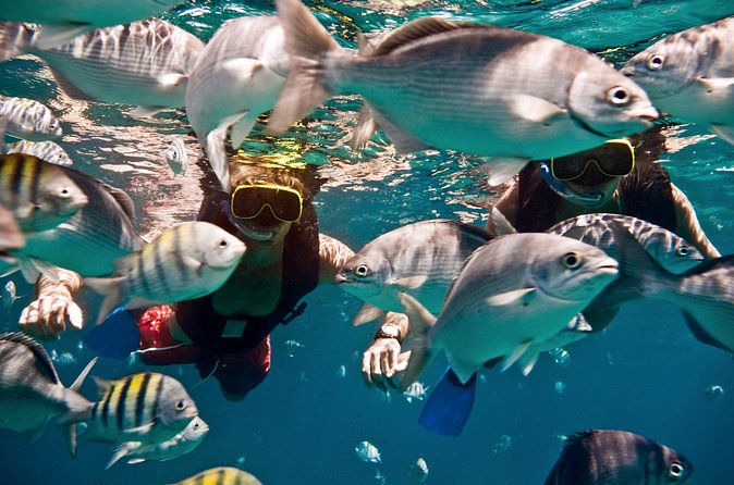Catamaran and Snorkeling Cruise At Carlisle Bay - Who should book this Barbados cruise?