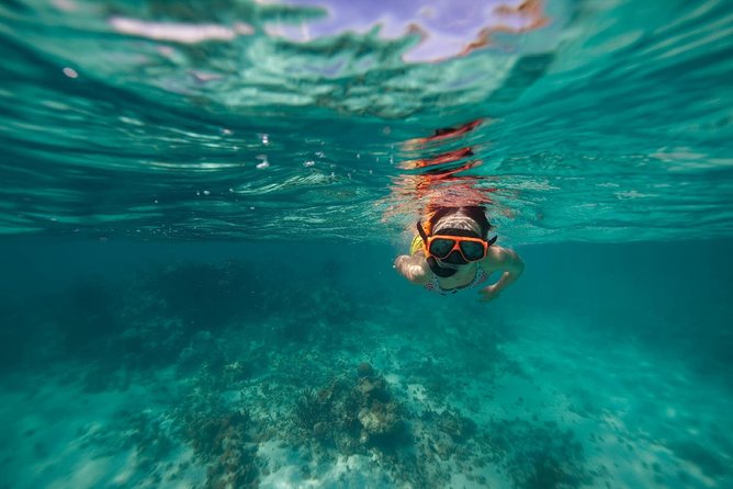 Catamaran and Snorkeling Cruise At Carlisle Bay - Sailing the Barbados coast from a catamaran
