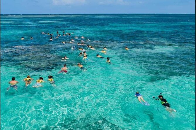 Catamaran and Snorkeling Party with Drink Included in Punta Cana - Snorkeling over the reef
