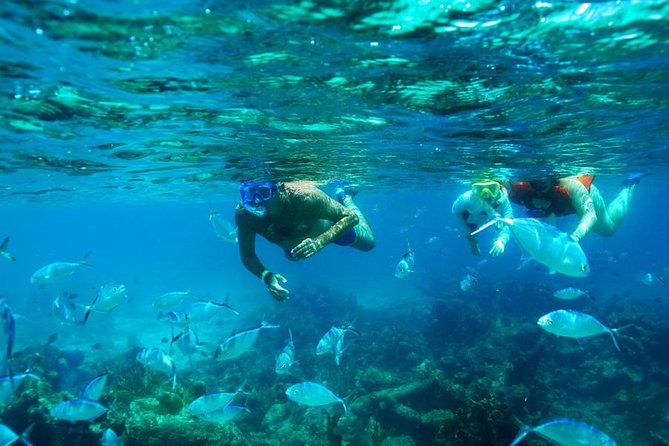 Catamaran Booze Cruise And Snorkeling Punta Cana - Adults Only - Key points to know before you book