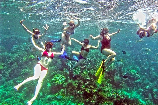 Catamaran Catalina Island Day Trip with Lunch - The early start from Punta Cana to La Romana